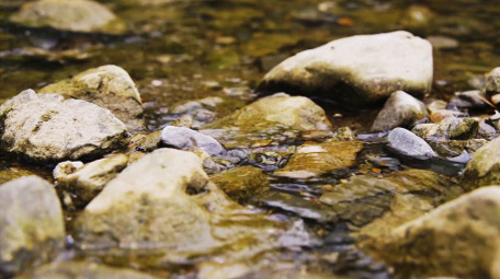 自然唯美小溪溪水流淌风光实拍
