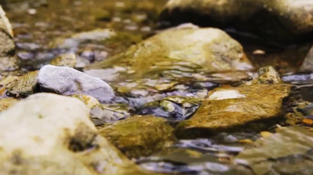 自然唯美小溪溪水流淌风光实拍