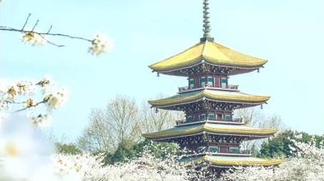 快闪多图文世界旅行宣传pr模板