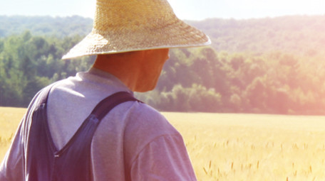 温馨父爱致敬父亲节AE图文模板