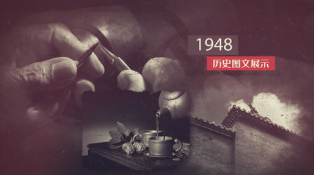 沧桑历史图文资料AE模板