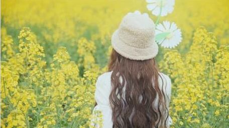 唯美少女在油菜花海中玩风车打卡视频