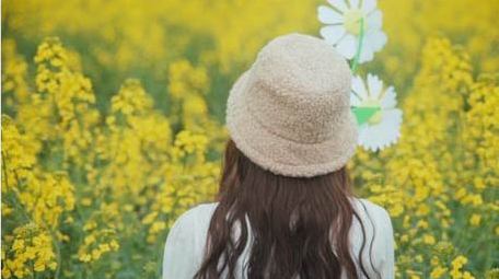 唯美少女在油菜花海中玩风车打卡视频