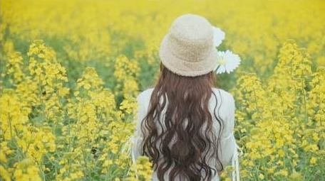 唯美少女在油菜花海中玩风车打卡视频