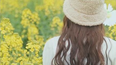 唯美少女在油菜花海中玩风车打卡视频