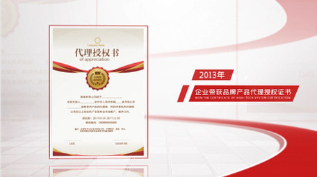 简洁企业荣誉奖牌证书图文展示AE模板