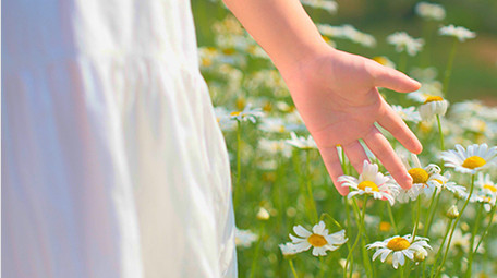 自然唯美美女手摸花朵视频素材4K