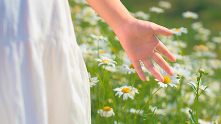 自然唯美美女手摸花朵视频素材4K