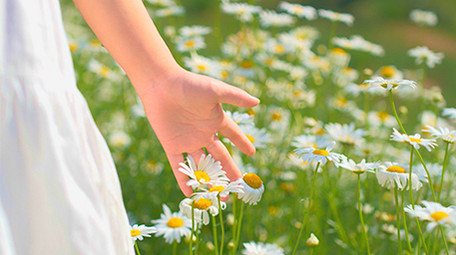 自然唯美美女手摸花朵视频素材4K