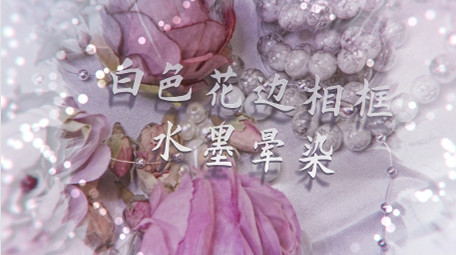 花边相框水墨晕染转场爱情照片相册AE模板