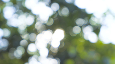 自然写意夏日阳光树叶漏光树影意境4K实拍