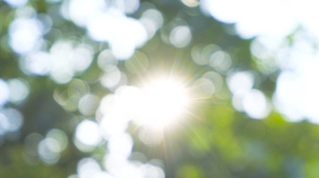 自然写意夏日阳光树叶漏光树影意境4K实拍