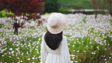 唯美清新美女花丛中散步人物背影实拍