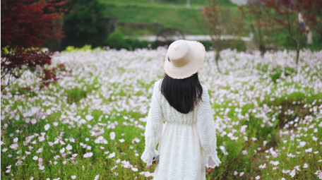 唯美清新美女花丛中散步人物背影实拍