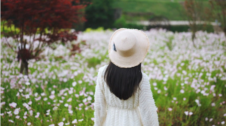 唯美清新美女花丛中散步人物背影实拍