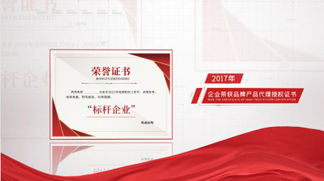 企业荣誉奖牌证书图文展示AE模板