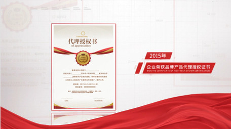 企业荣誉奖牌证书图文展示AE模板