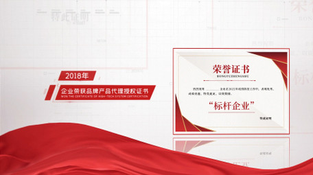 企业荣誉奖牌证书图文展示AE模板
