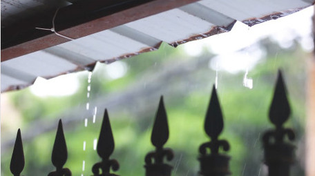 夏日雨水天气绿色树叶空镜4k实拍