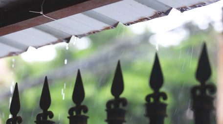 夏日雨水天气绿色树叶空镜4k实拍