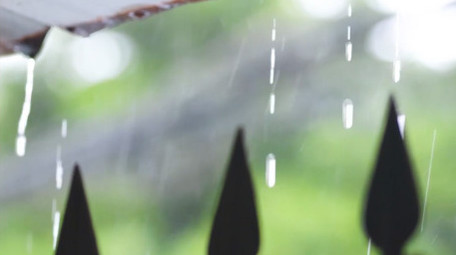 夏日雨水天气绿色树叶空镜4k实拍