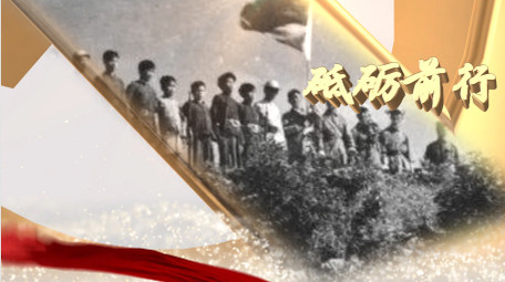 大气党徽党政图文片头AE模板