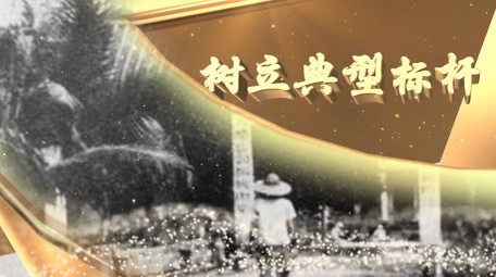 大气党徽党政图文片头AE模板