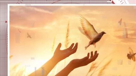 红白清新科技感党政图文展示AE模板