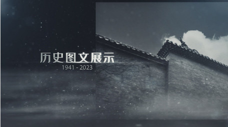 历史图文三维粒子AE模板