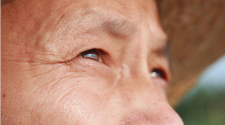 农业农民老人眼睛眼神视频素材