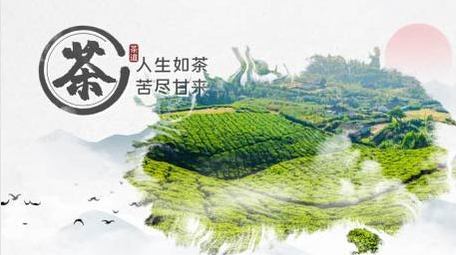 茶道文化水墨展示片头AE模板