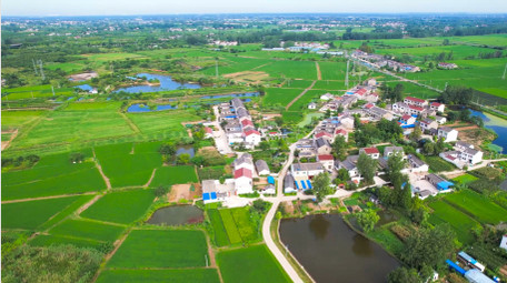 自然风景乡村振兴美丽乡村农田风景4K航拍