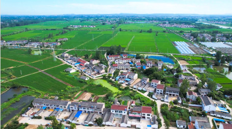 自然风景乡村振兴美丽乡村农田风景4K航拍