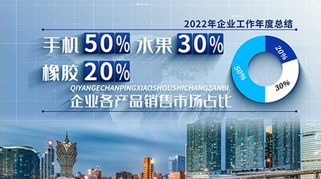 简洁商务<strong>企业</strong>图文数据展示ae模板