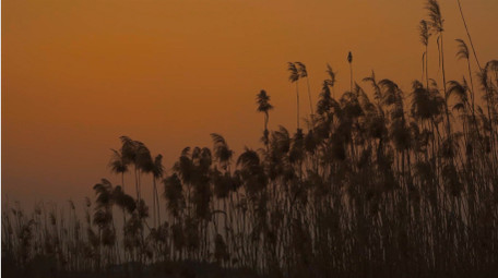 自然写意秋天落日夕阳美景4K