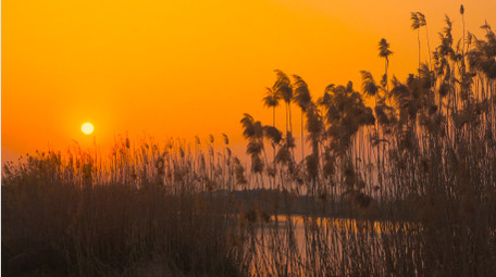 自然写意秋天落日夕阳美景4K