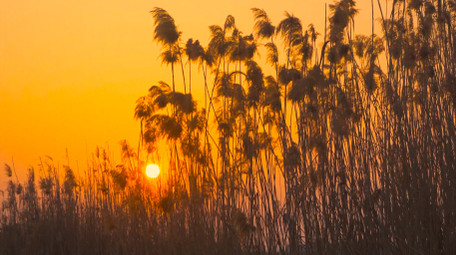 自然写意秋天落日夕阳美景4K