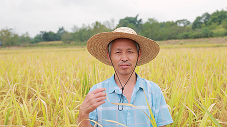 农业人像农民伯伯对着镜头微笑