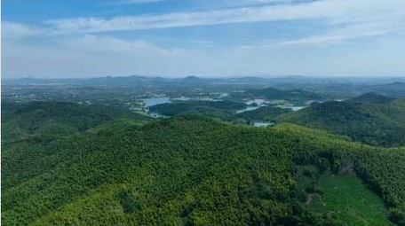震撼森林山川自然风景4k航拍