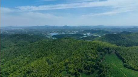 震撼森林山川自然风景4k航拍