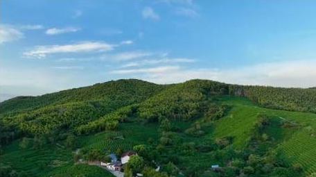 震撼森林山川自然风景4k航拍