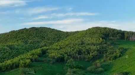 震撼森林山川自然风景4k航拍