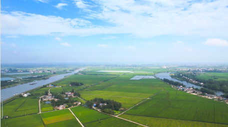 自然风景乡村农田风景4K航拍
