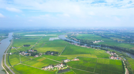 自然风景乡村农田风景4K航拍
