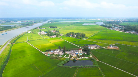 自然风景乡村农田风景4K航拍