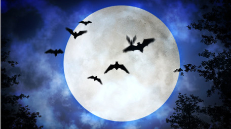 万圣节惊魂狂欢宣传片头AE模板