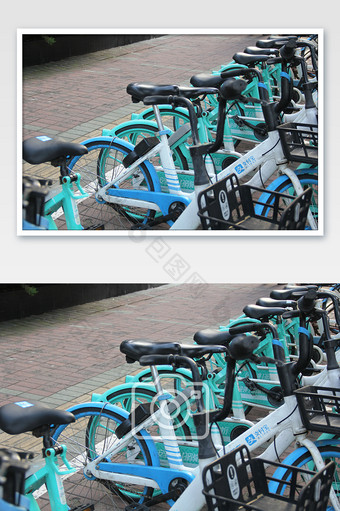 马路旁一排共享单车自行车图片