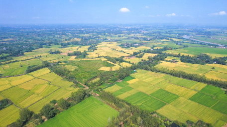 乡村振兴新农村乡村农田4k航拍