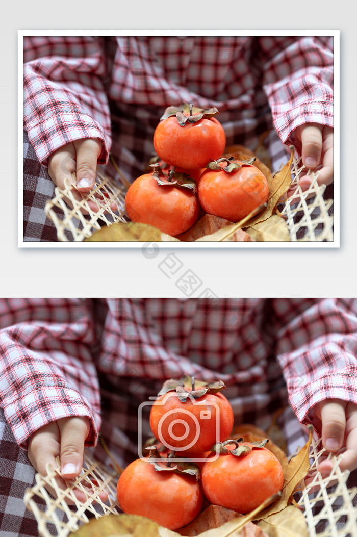秋天丰收果实柿子图片图片
