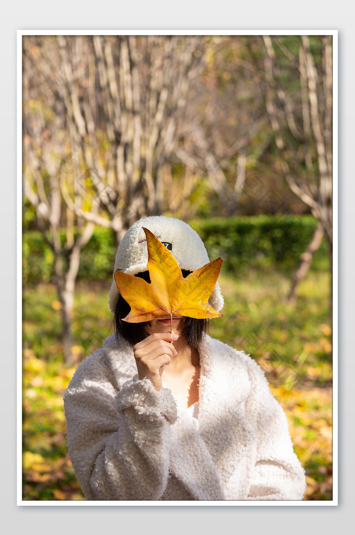 秋季人与树叶黄树叶图片图片